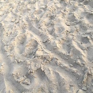 Meet your Posher, Abigail